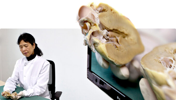 MediLive realisiert innovative medizinische Schulungsfilme in 3D