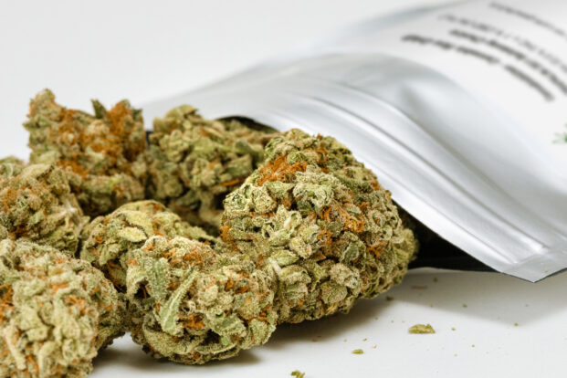 Aktuelle Lieferengpässe bei Medizinalcannabis? – Setzen Sie auf zuverlässige Verfügbarkeit und hohe Qualität von DRAPALIN!