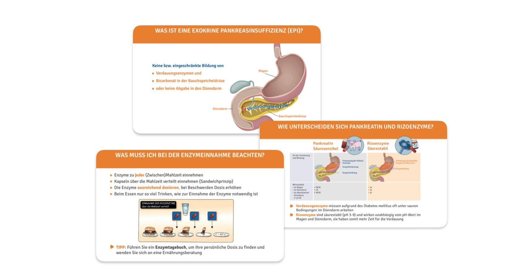 Diabetes mellitus Auch exokrine Pankreasinsuffizenz EPI als ...